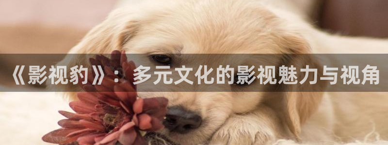 橘子免费观看视频