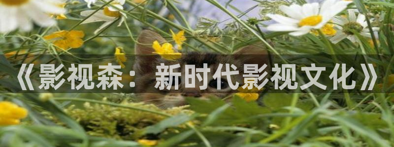 橘子视频免费看
