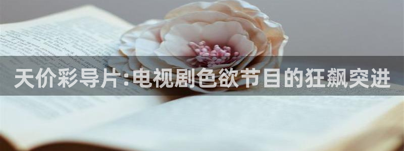 橘子免费观看视频：天价彩导片:电视剧色欲节目的狂飙突进