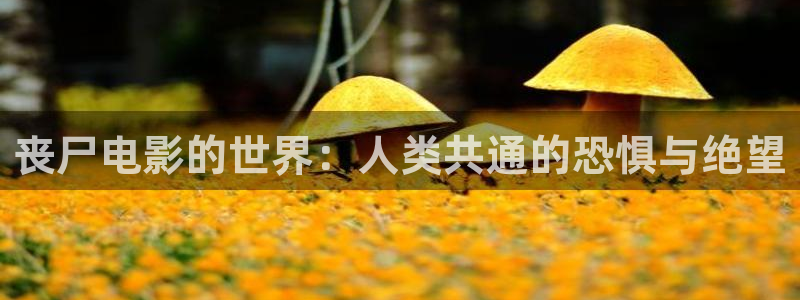 橘子视频app安卓：丧尸电影的世界：人类共通的恐惧与绝望