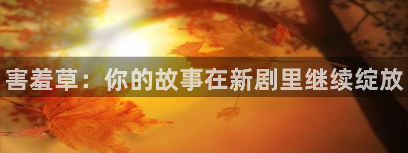 橘子影视app安卓下载